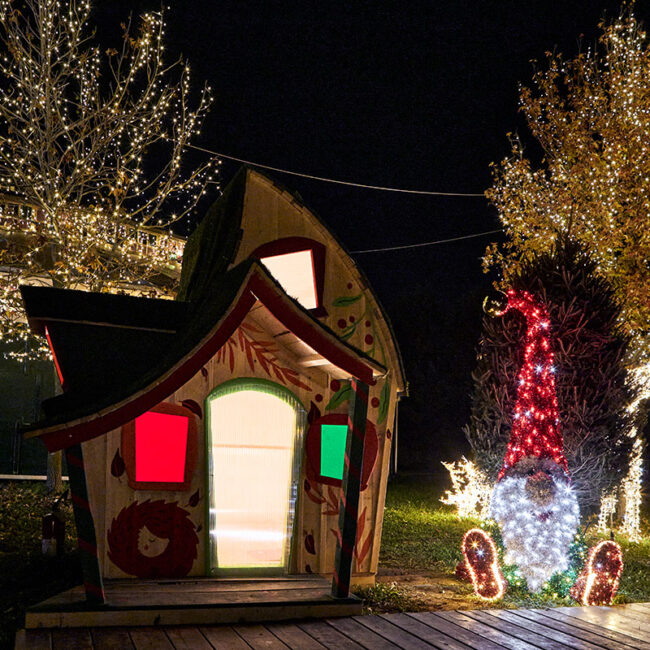 2949_la magia di natale_carroponte_2023
